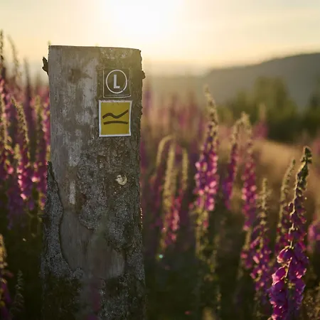 Rumphorst Kirchhundem