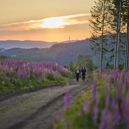 Rumphorst Kirchhundem