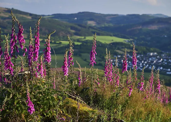 Rumphorst 公寓 基希洪德姆